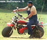 Clicca per ingrandire